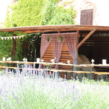 EC64BC5D-1849-43D1-8ED5-34C6D9DA1213